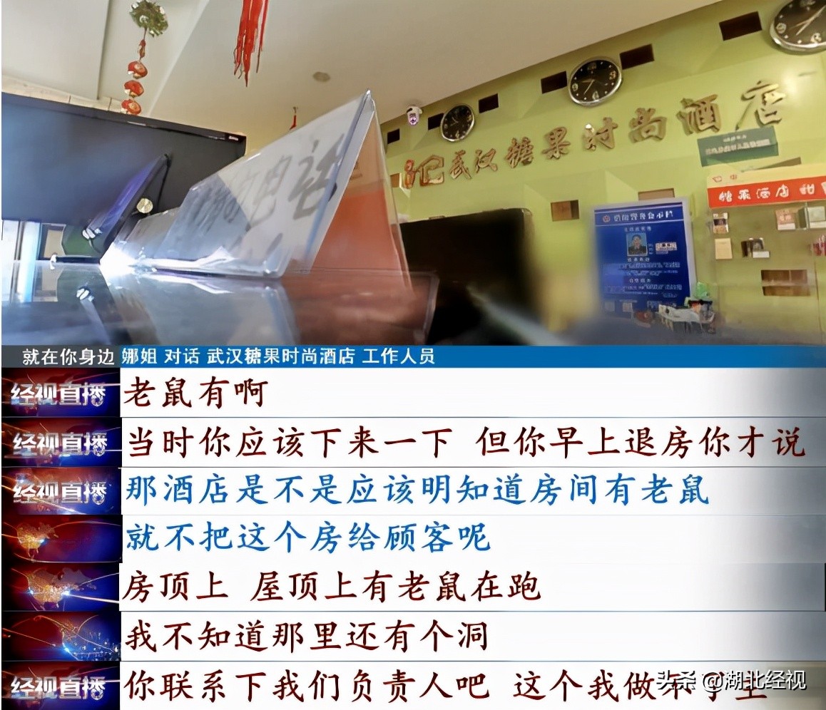 住酒店被小虫咬了一个小洞,住民宿被老鼠咬了