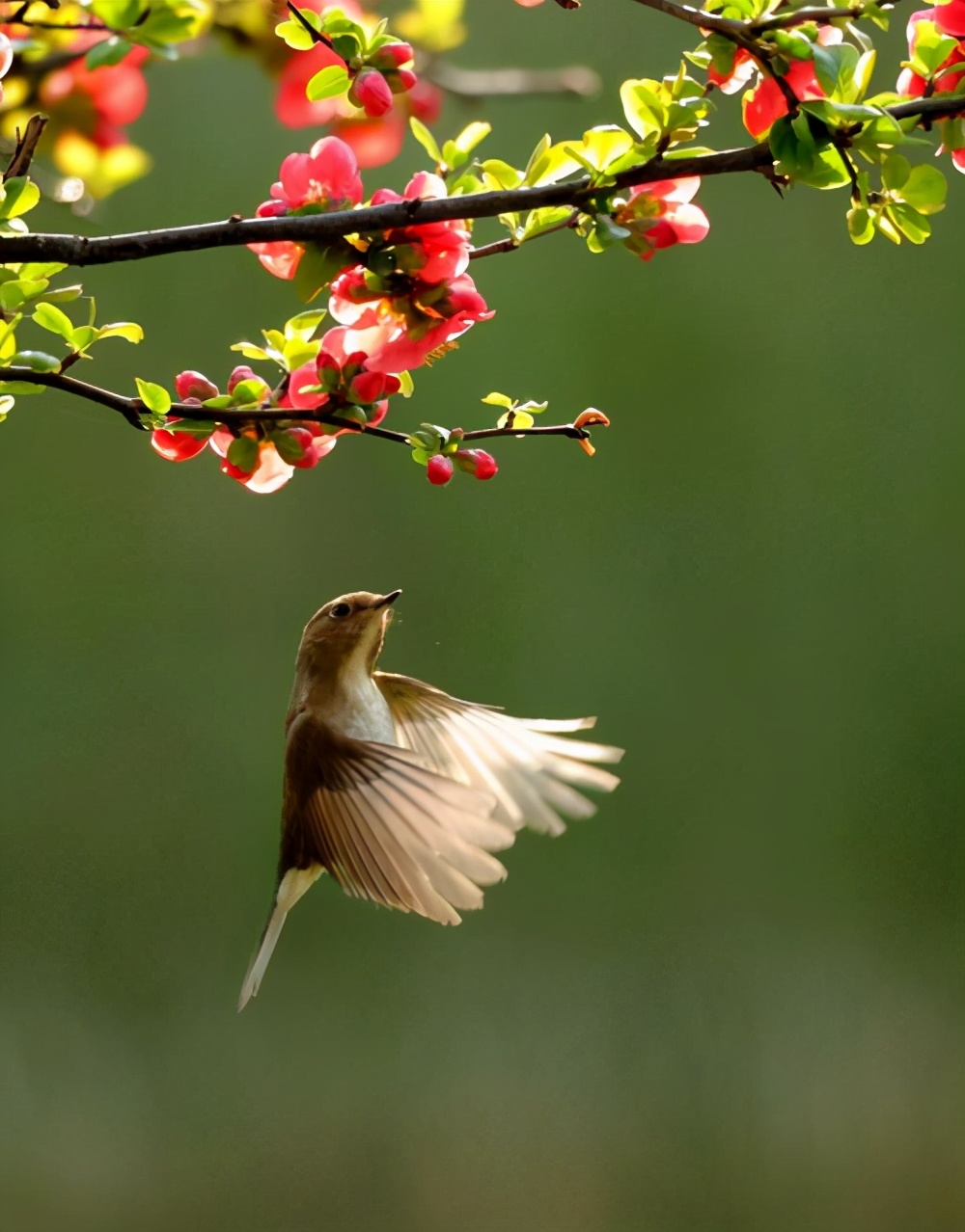 一分钟了解摄影技巧如何做好摄影,对摄影摄像的了解