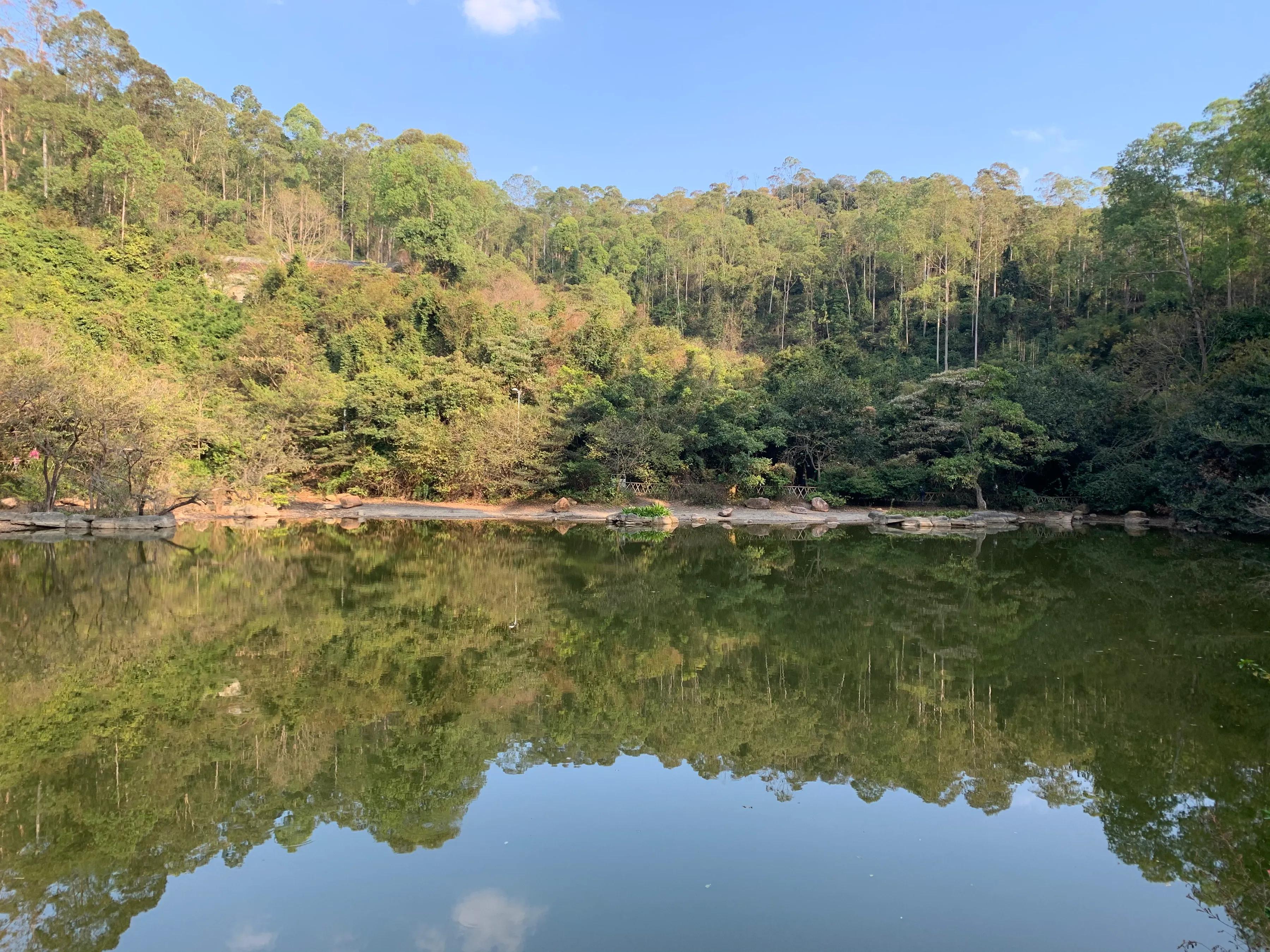 东莞水濂山森林公园攻略,东莞水濂山爬山要不要门票钱