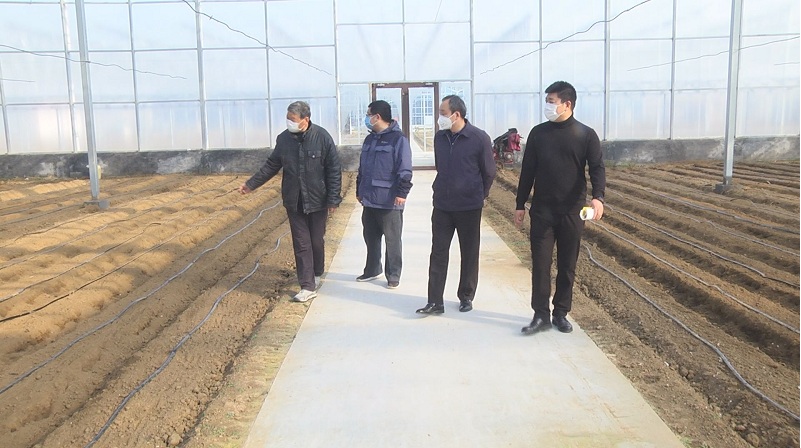 农技指导助力设施农业安全越冬,农技指导助春耕
