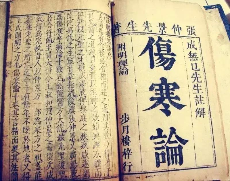 中医中药与日本汉方,日本汉方中药