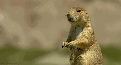 宁海春节哪里好玩,宁海春天旅游景点推荐