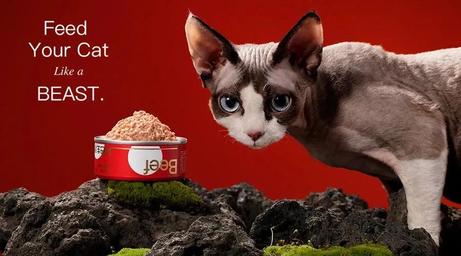 热销益生菌推荐,益生菌爆款第一