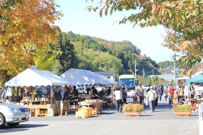 日本陶器底款有哪些 (日本龙谷窑陶器)