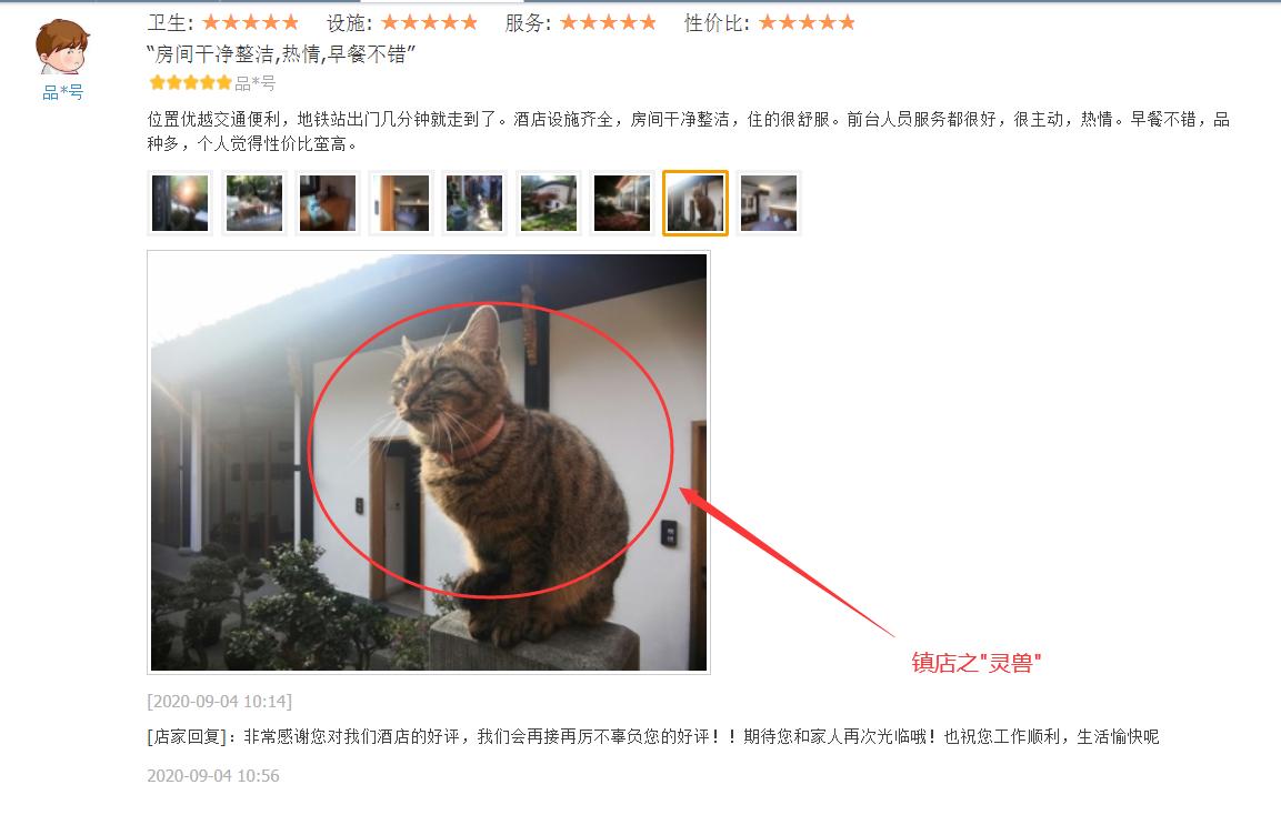 鏋楁爾鍝佽缁忓吀璇綍,娴庡畞鏋楁爾鍚村北灏忛櫌