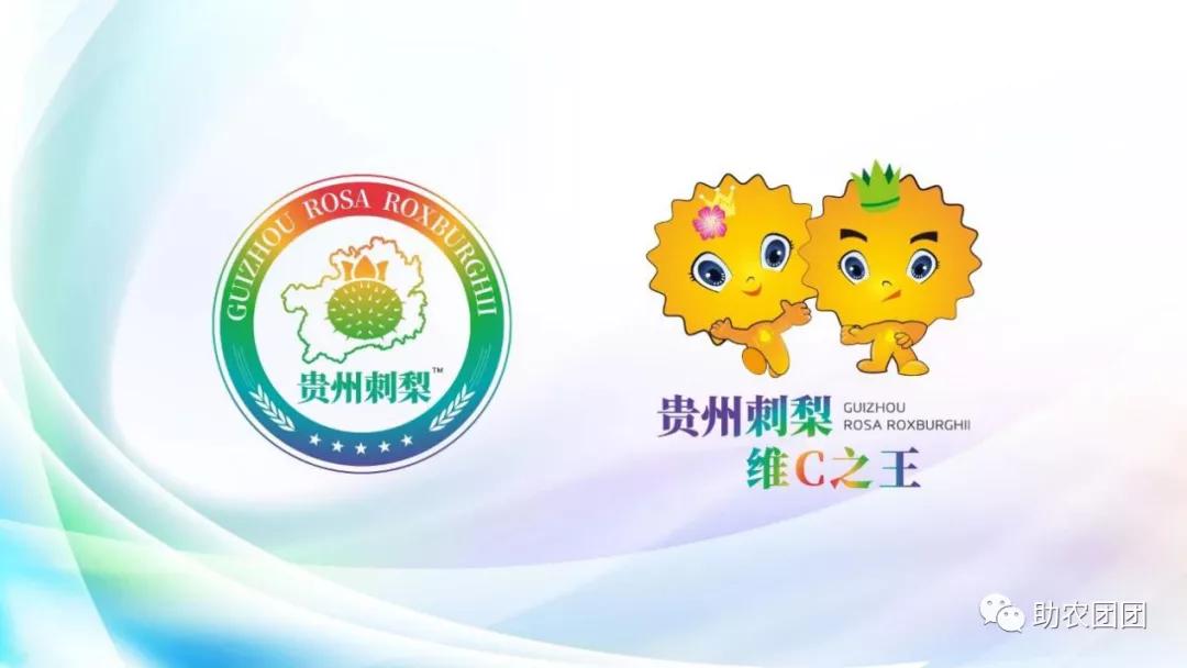 助农团团所有视频,贵州助农团团最新视频