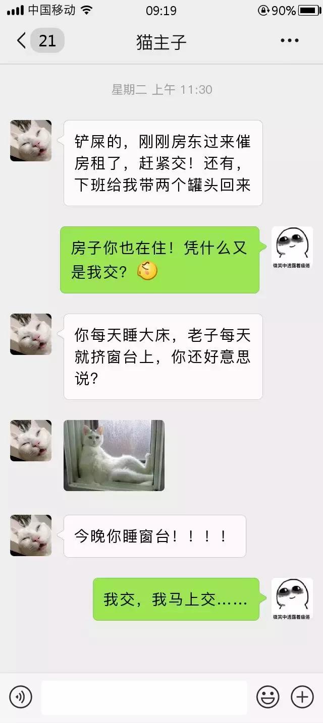 跟我家猫发微信，就像跟渣男在聊天