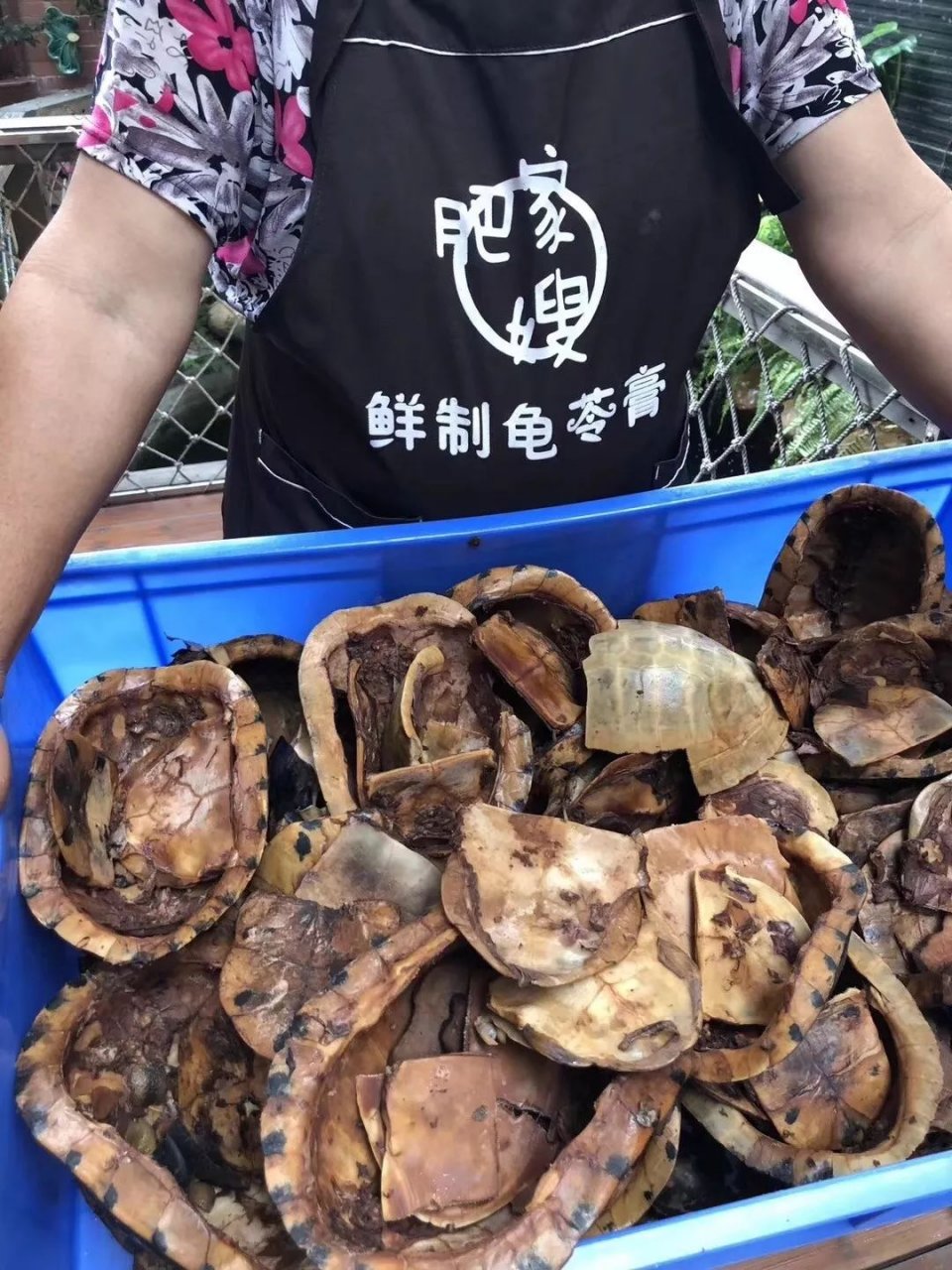 盘点广东人的夏日消暑神器,消暑必备神器凉粉