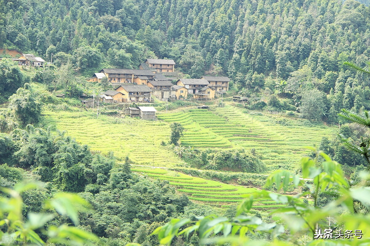 牛郎织女的故事简短300字,牛郎织女的故事