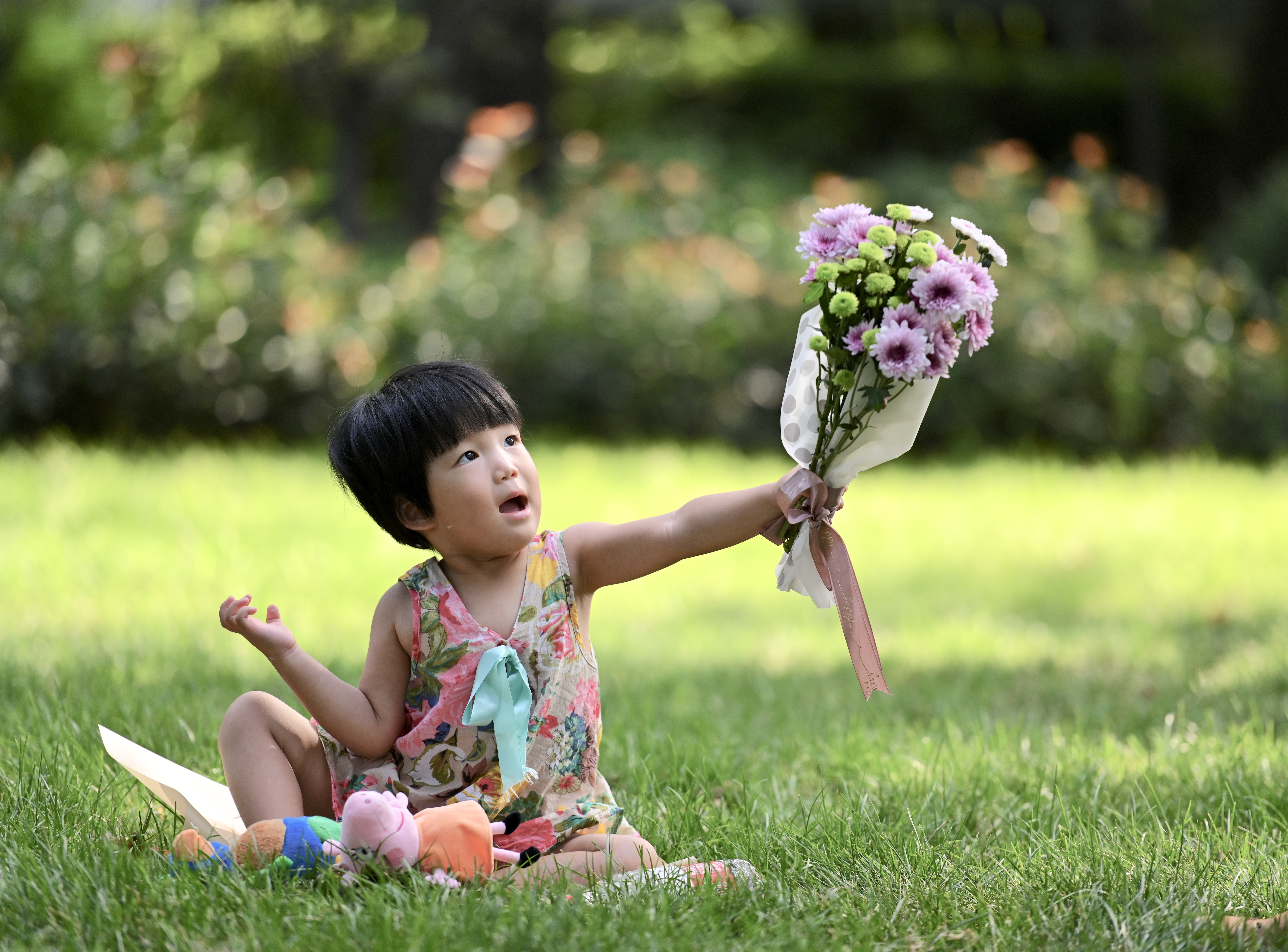 南郊美美,南郊宾馆的风景