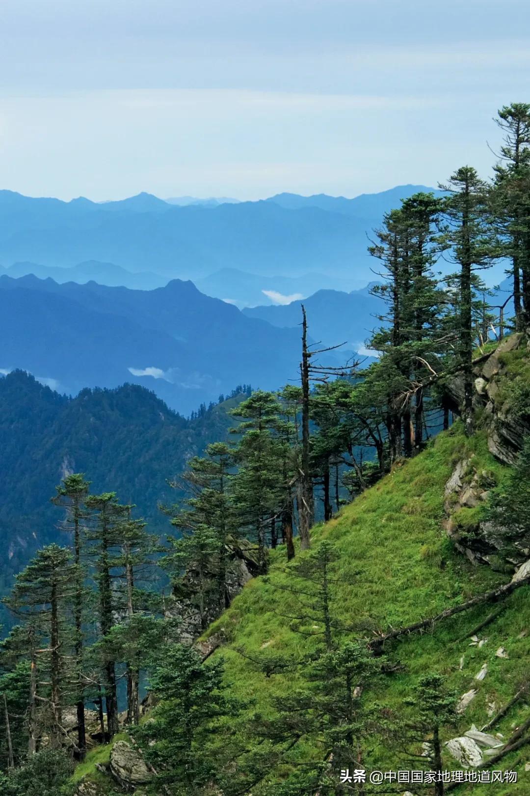 中国五大国家公园,中国十大私藏国家公园