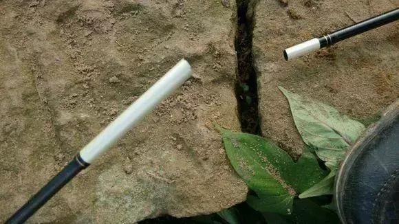 8个雷区不该踩,对付断竿的最好方法