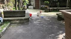 “兄弟睡觉压得胳膊都变色了，要不要叫醒他？”醒来一定很酸爽