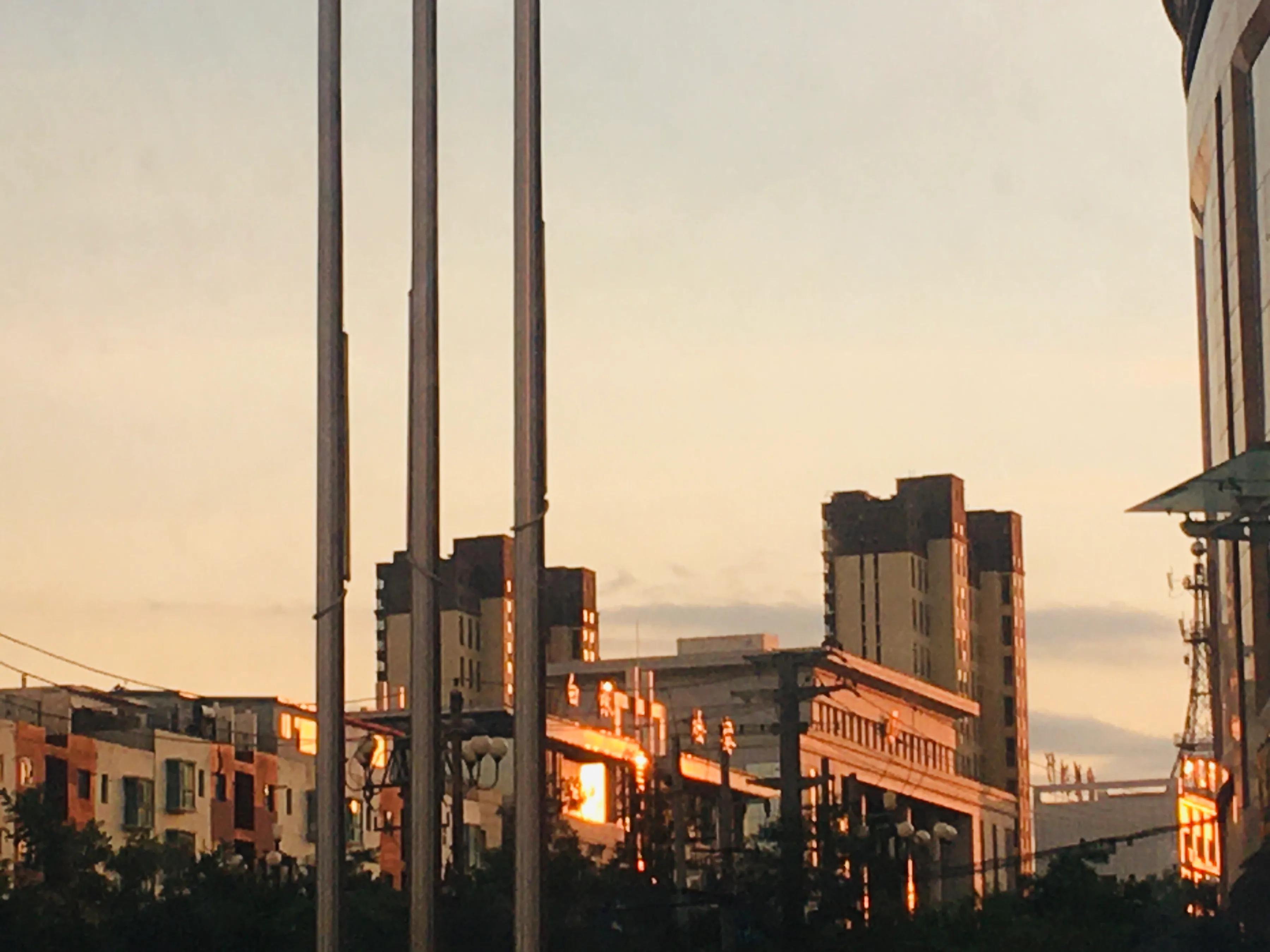 欧亨利最后的常春藤叶故事梗概,最后一片常春藤叶欧亨利结尾分析