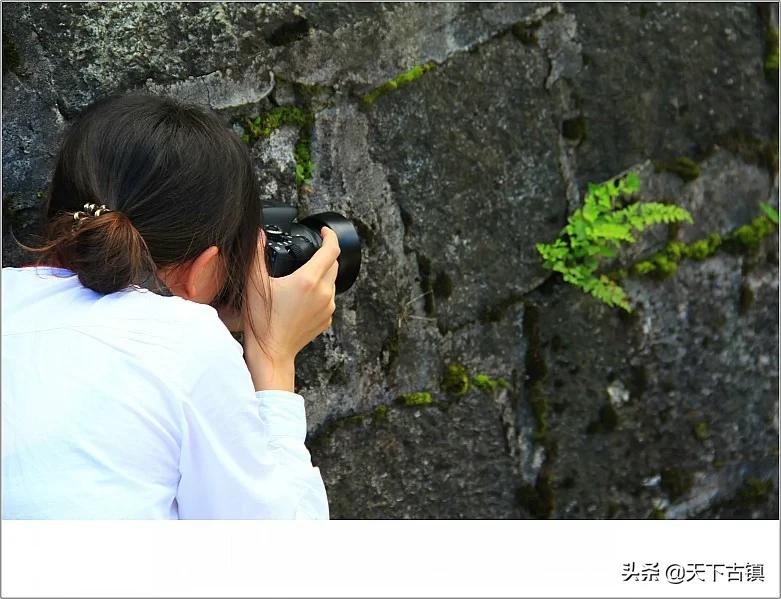 南岳衡山喊客视频,南岳衡山旅游视频