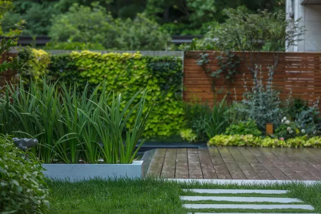 早晨深化设计研究院--住别墅的有钱人，都是如何规划自己院子的？