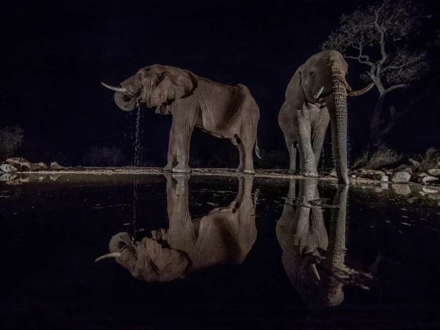 奥地利特伦伯超级摄影巡回展,奥地利超级摄影巡回展获奖作品