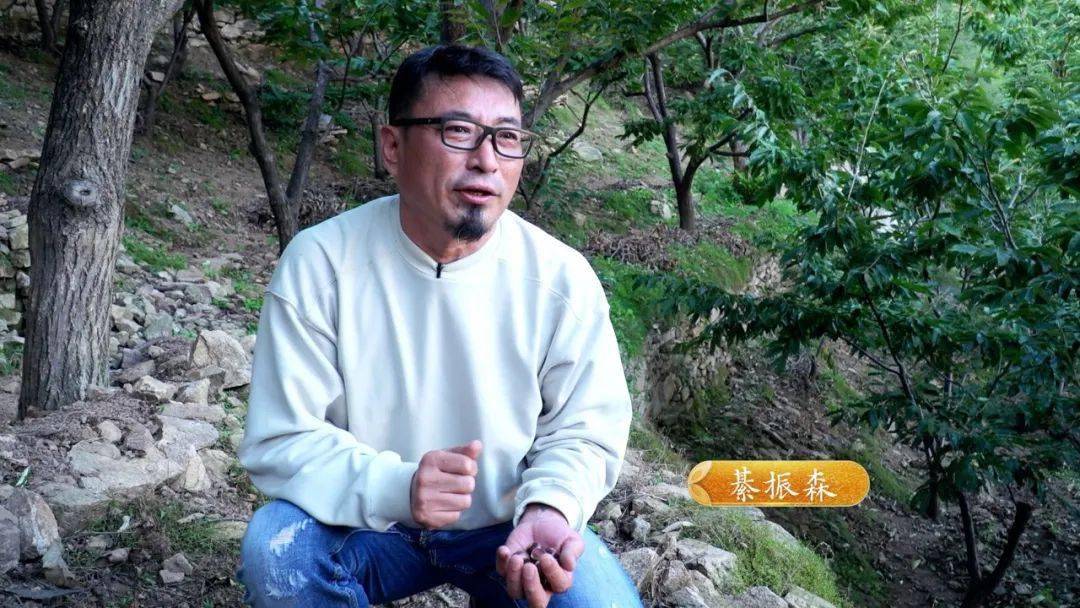 綦振森本是个清洁工，却转行卖起了糖炒栗子，销售额突破四千万