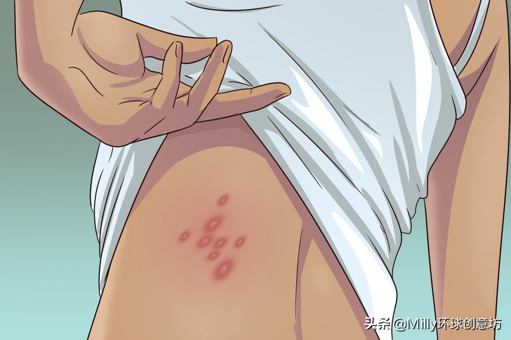 家中臭虫怎么彻底清除,家中有臭虫用什么杀虫剂