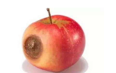 国医大师养生十秘诀,脾胃病中医适宜技术有哪些