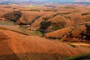 湖南省郴州市地级市,湖南省郴州市安仁县概况