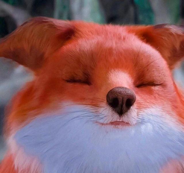 三生三世头条观影 (三生三世枕上书观影报告)