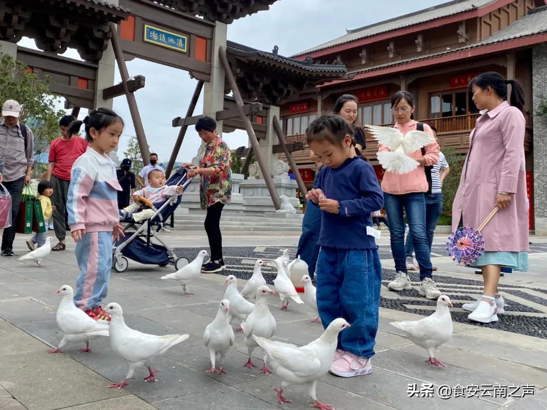 昆明金九银十折扣,昆明金九银十在哪里