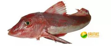 舟山4月份海鲜攻略,舟山海鲜代加工攻略