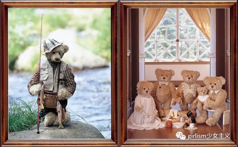 世界上最美丽的泰迪熊,最可爱的泰迪熊