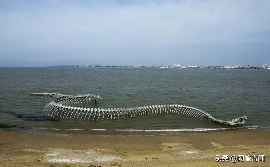 侏罗纪有巨蟒吗,侏罗纪世界最大巨蟒