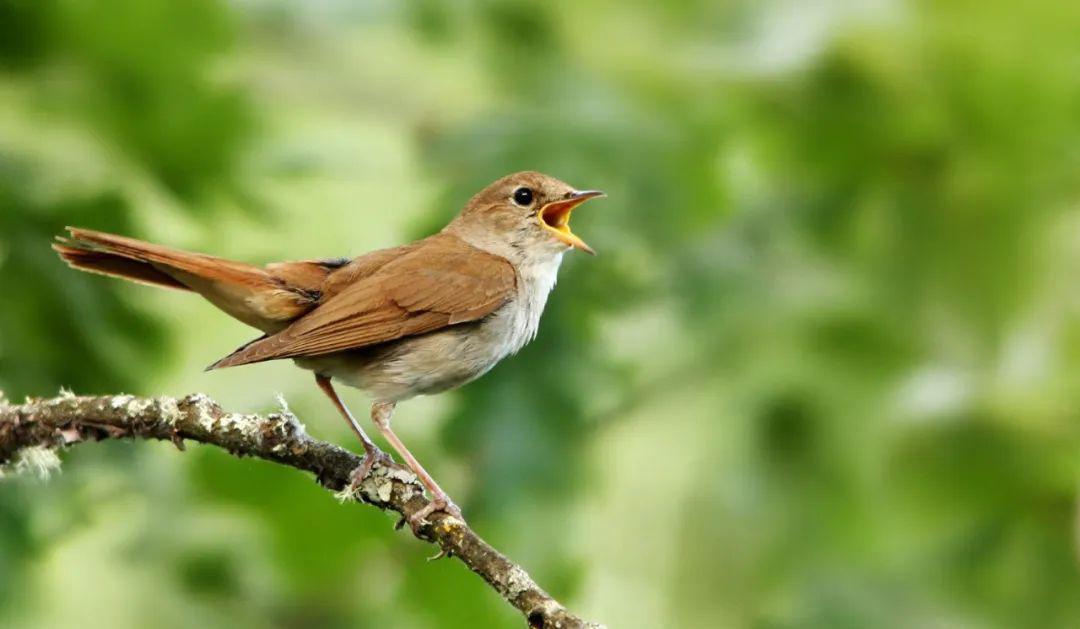盘点19个你可能不知道的科学“冷知识”