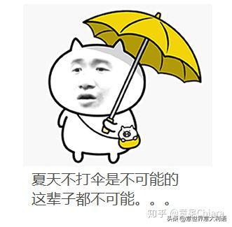 吐血整理20个乘机小秘诀,吐血整理20个问题