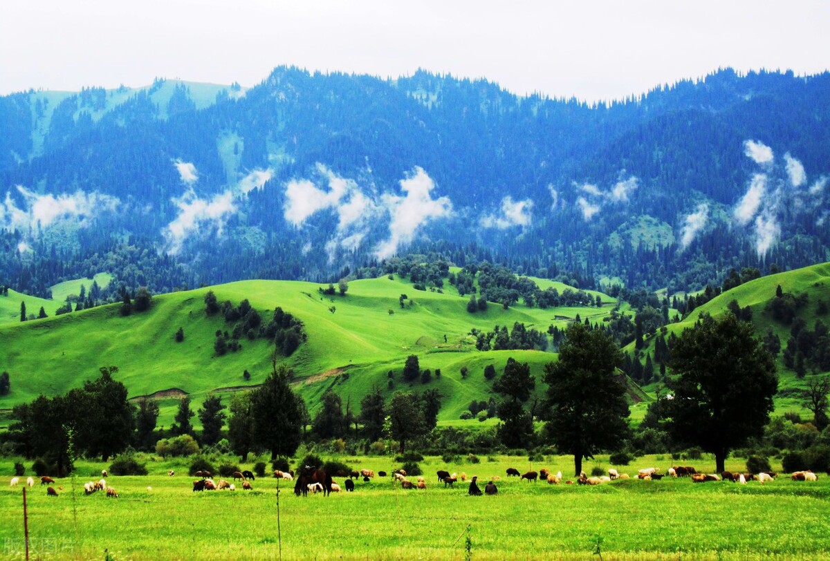 中国最值得去的100个草原,全国六大最美的草原