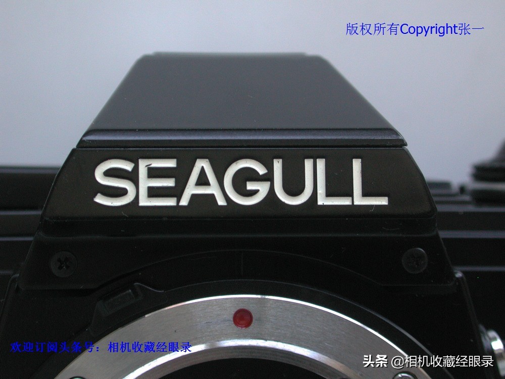 海鸥seagull相机,上海海鸥照相机所有型号序列号