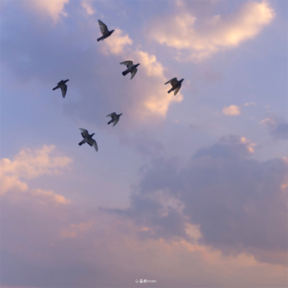 三江学院五年一贯制专转本试卷,五年一贯制专转本三江学院