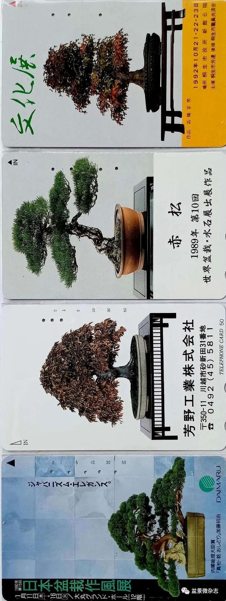 鐩嗘櫙鑱旂郴鐢佃瘽鍙风爜,涓鐩嗘櫙鑱旂郴鏂瑰紡