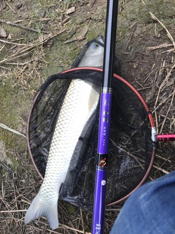 鱼竿调性什么意思,怎么选鱼竿鱼竿的调性和硬度