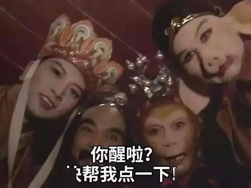 开店铺的新手需要做哪些,拼多多开店新手店铺怎么开