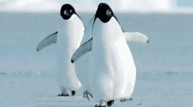 10月10日2020年*疆新**伊犁天马国际旅游节网络节庆重磅上线