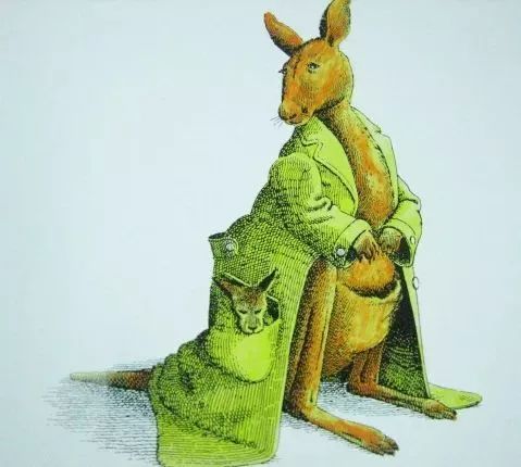 动物绝对不能穿衣服的绘本感言,比较好看的动物绘本推荐