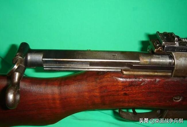 加拿大军队装备的步枪,加拿大军用步枪