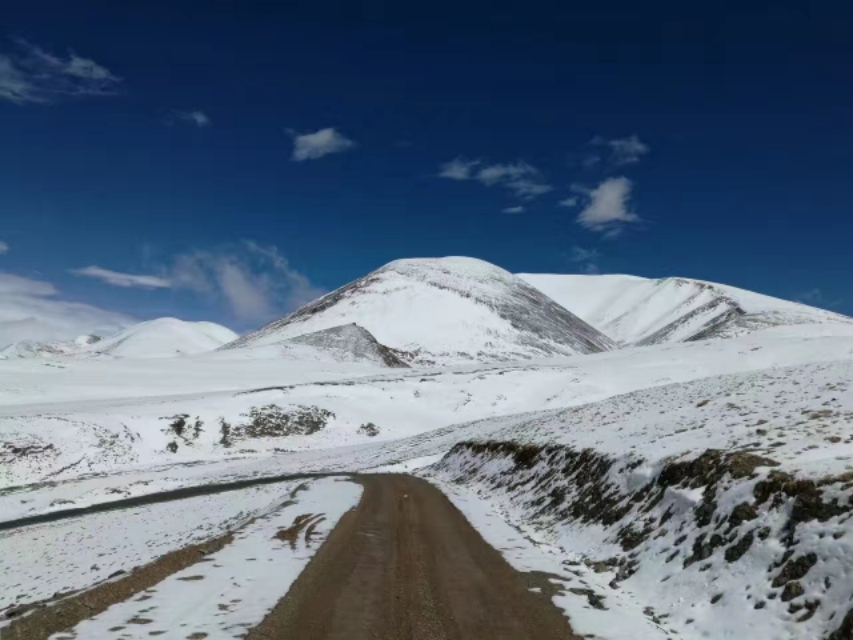 如果你害怕就说明你已经输了,如果你害怕那就意味着你已经输了