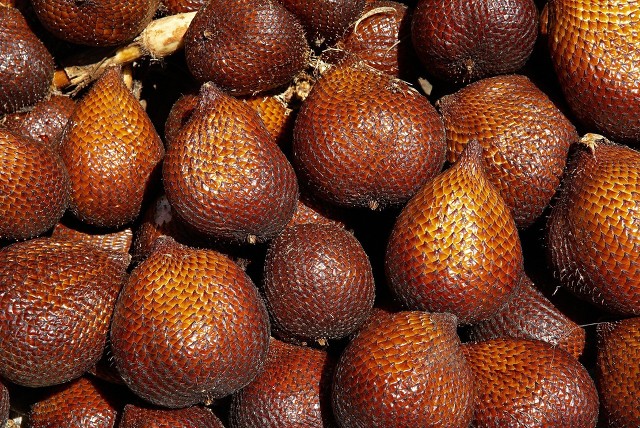 海员那些事，远洋船员经受的心酸～5