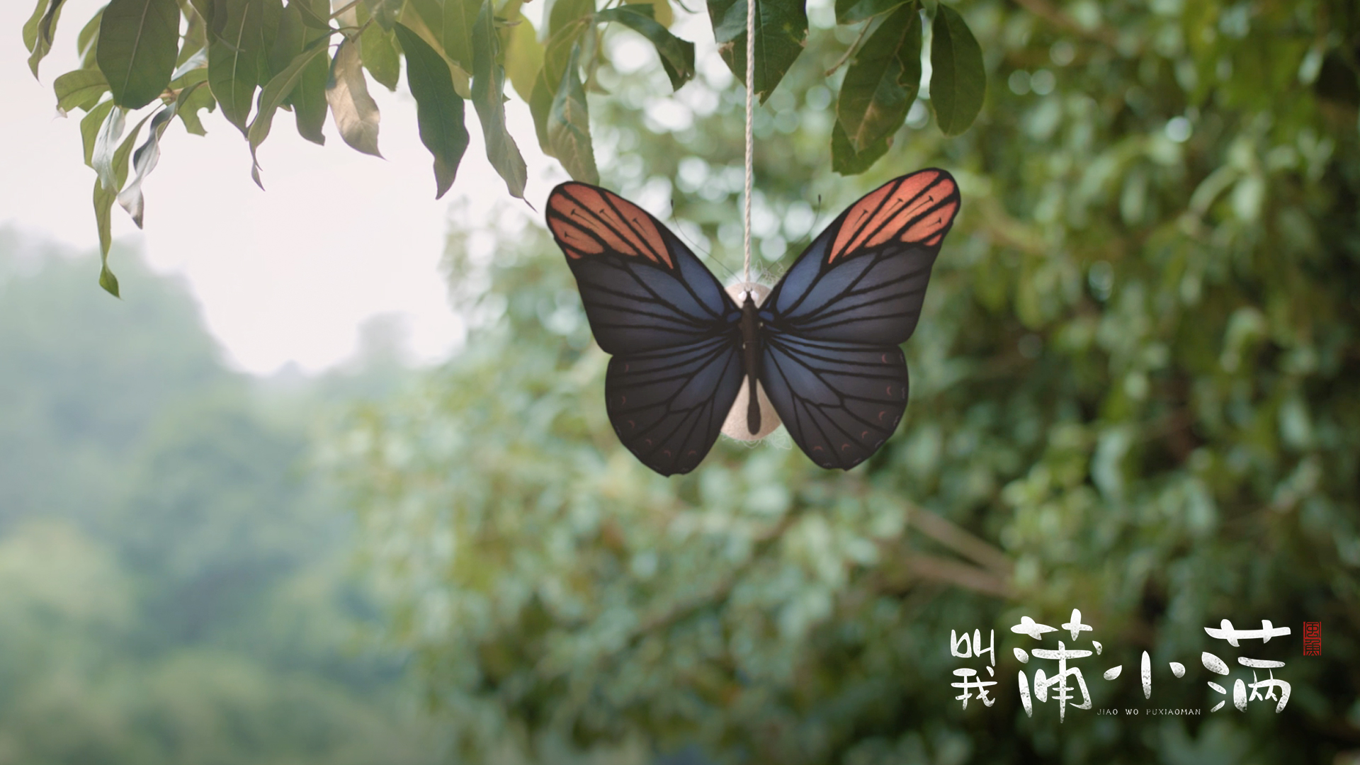 广东人抓福建人做煲仔饭表情包 (广东拿福建人做煲仔饭)