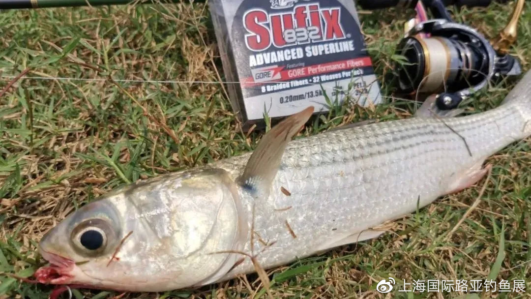 放长线钓大鱼原来都是套路,怎么更容易放长线钓大鱼