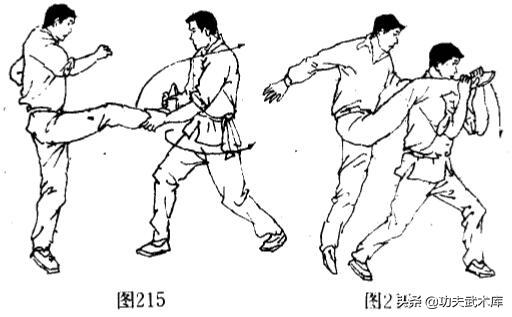 擒拿掌法,卸骨小擒拿技法