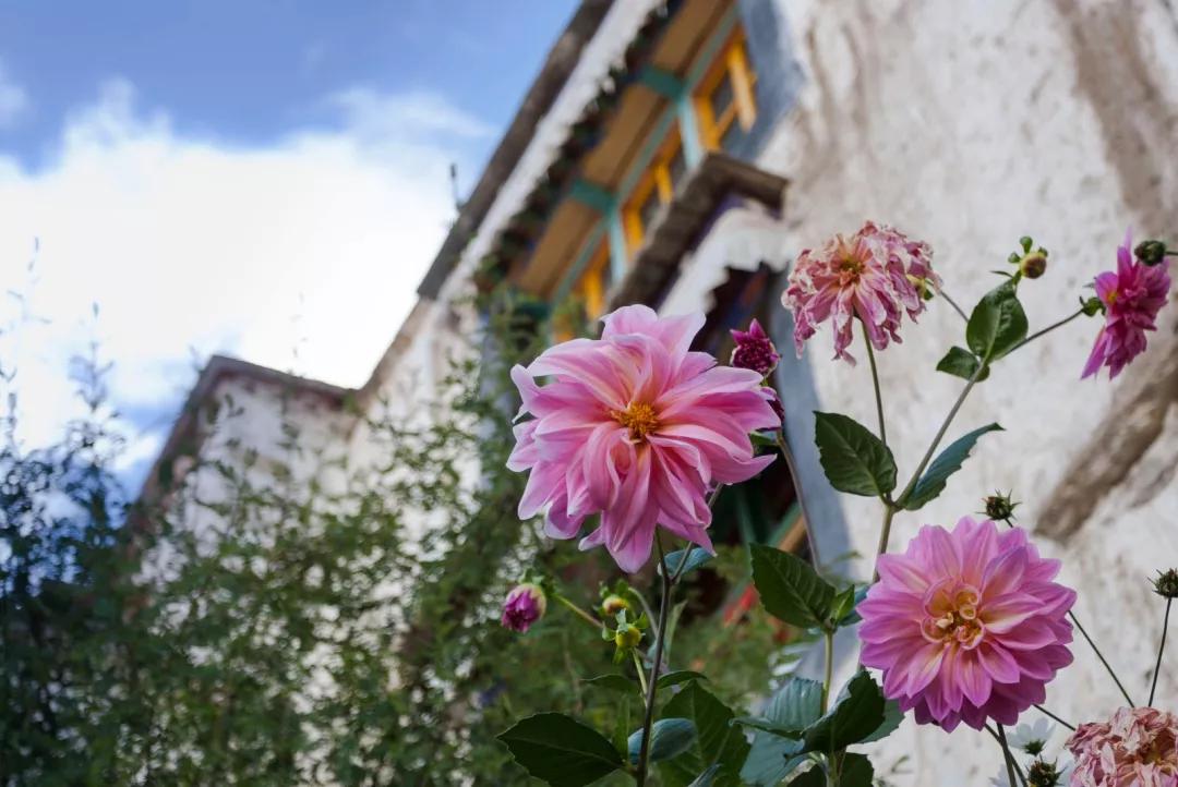 2020年进藏最新100问，你有几个问？看了对你进藏有99个帮助