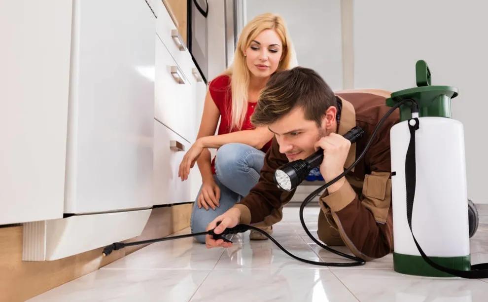 家庭灭蟑螂最好方法十招简单有效,灭蟑螂的最好方法家里有很多蟑螂