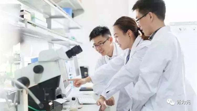 肾病血肌酐高怎么才能退下去,肾病肌酐高用什么药可以降下来