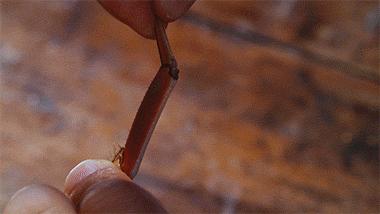 如何举办一场风雅的蟹宴,怎样在家举办一场风雅的蟹宴